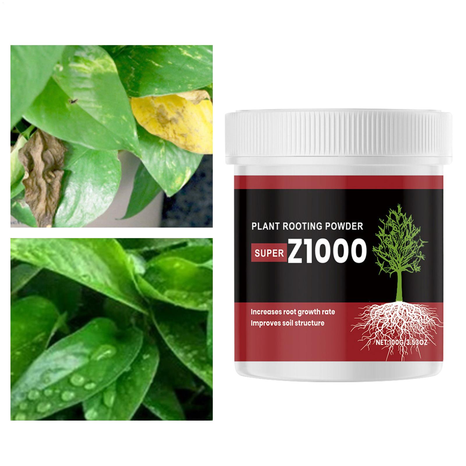Poudre de hormone de croissanc - Root Stimulator Liquid avis et prix