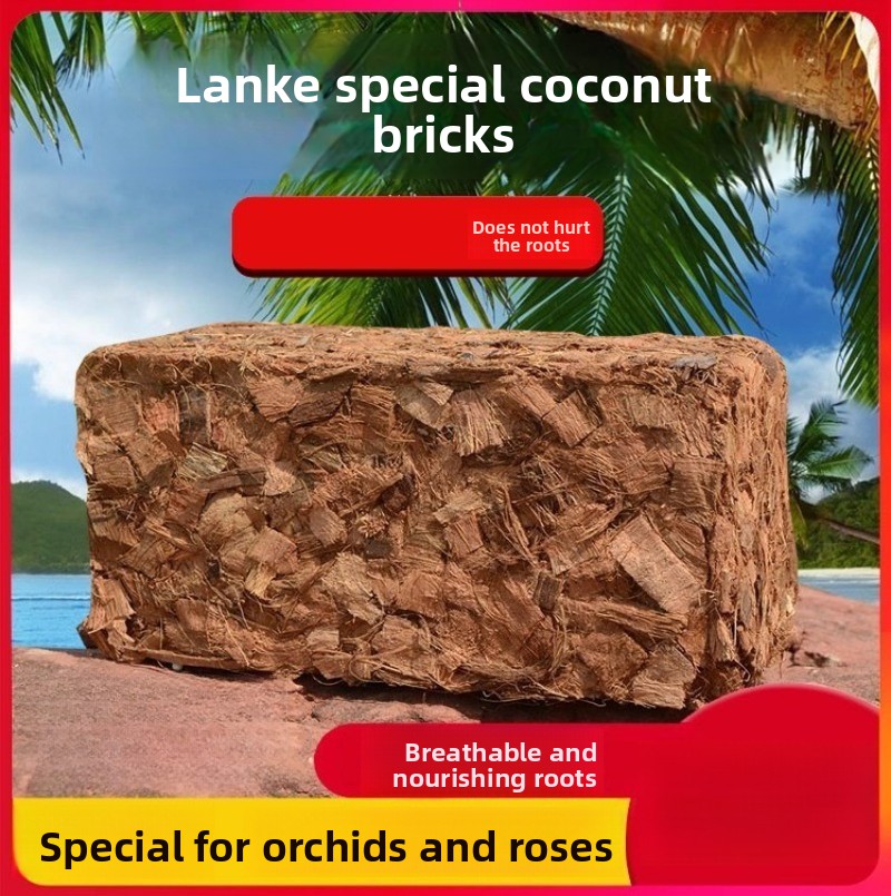 Brique de fibre de coco avec e - Sphagnum Moss Dry avis et prix