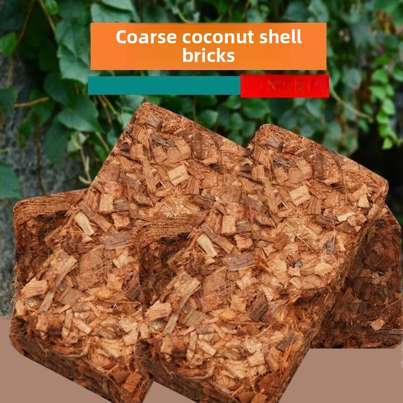 Brique de fibre de coco avec e - Sphagnum Moss Dry avis et prix
