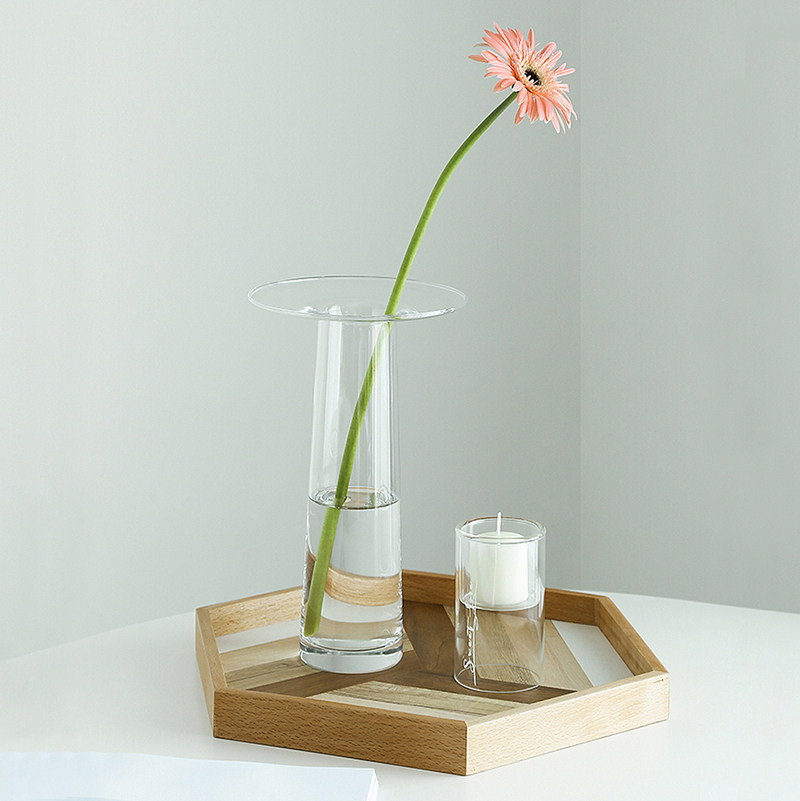 LIVETAI Vase en verre hydropon - Propagation Station Vase avis et prix