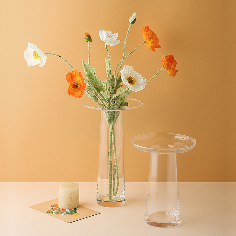 LIVETAI Vase en verre hydropon - Propagation Station Vase avis et prix