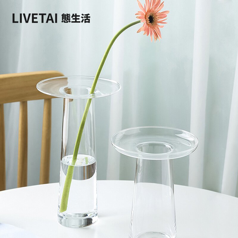 LIVETAI Vase en verre hydropon - Propagation Station Vase avis et prix