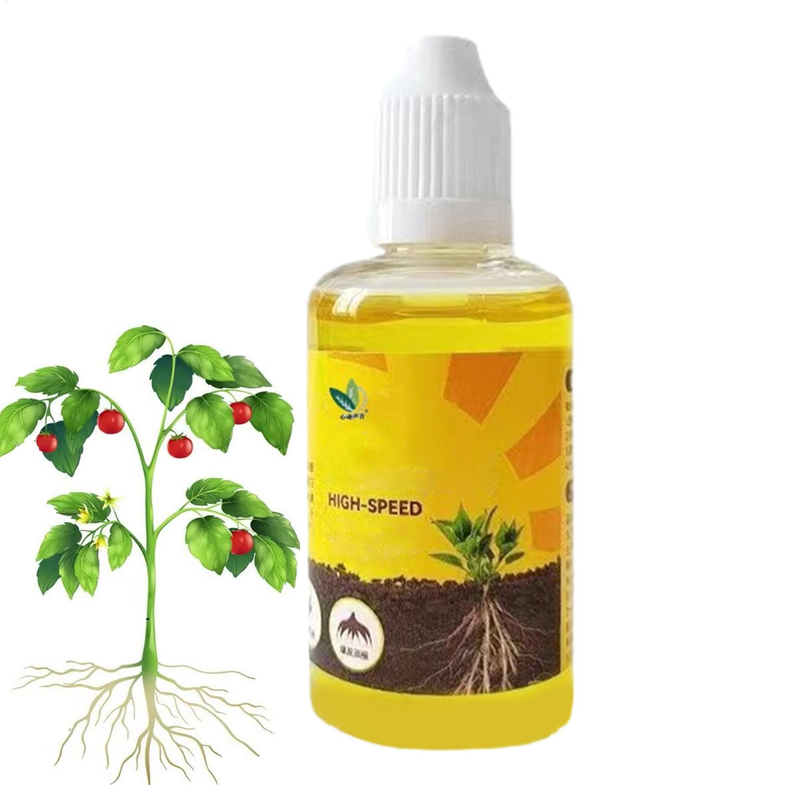 Stimulateur d'enracinement de  - Root Stimulator Liquid avis et prix