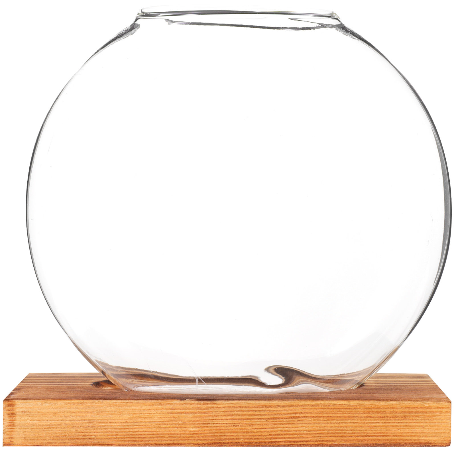 Vase hydroponique en verre sur - Propagation Station Vase avis et prix