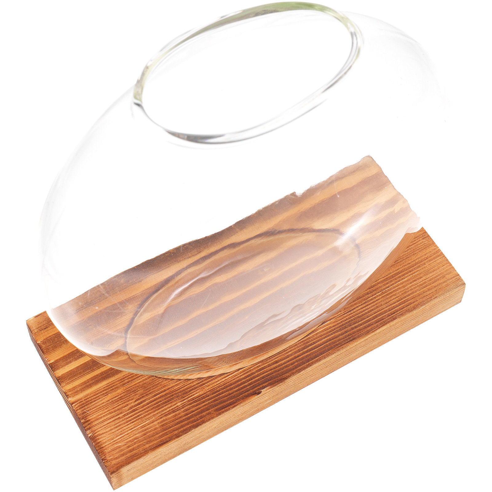 Vase hydroponique en verre sur - Propagation Station Vase avis et prix